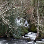 DSCN2036