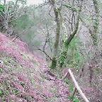DSCN2062