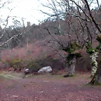 DSCN2025