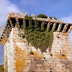 DSCN2001