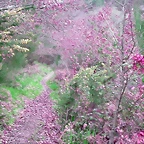 DSCN2058