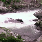 DSCN2081