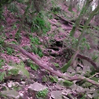 DSCN2091