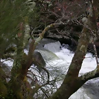 DSCN2098