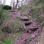 DSCN2099