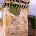 DSCN1998