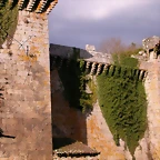 DSCN2003