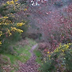 DSCN2057