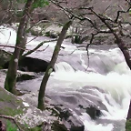 DSCN2095