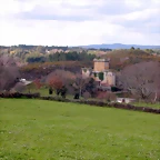 DSCN1990