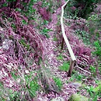DSCN2060