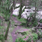 DSCN2079