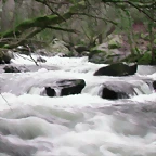 DSCN2082