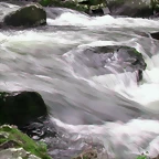 DSCN2083