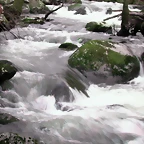 DSCN2084