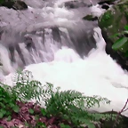 DSCN2086