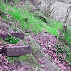 DSCN2063
