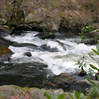 DSCN2064