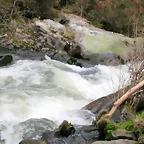 DSCN2065