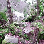 DSCN2074