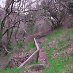 DSCN2100