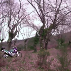 DSCN2104