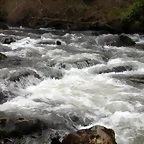 DSCN2038