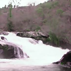 DSCN2089
