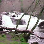 DSCN2088