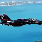 F-14 Tomcat Playboy de la Navy