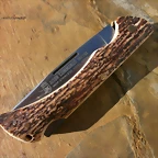P5030031