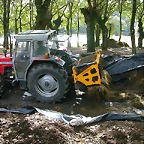 DSCN8521