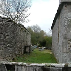 DSCN8554