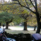 DSCN8503