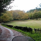 DSCN8502