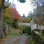 DSCN8504