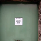 DSCN8538