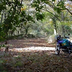 DSCN8517