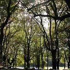 DSCN8508