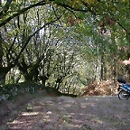 DSCN8510
