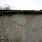 DSCN8548
