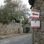 DSCN8542