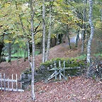 DSCN8489
