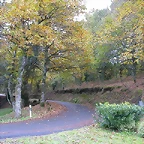 DSCN8480