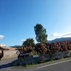 DSCN1575