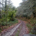 DSCN0849