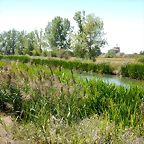 DSCN8176