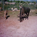 PIC04821