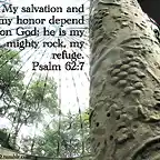 psalm 62.7