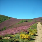 DSCN5278